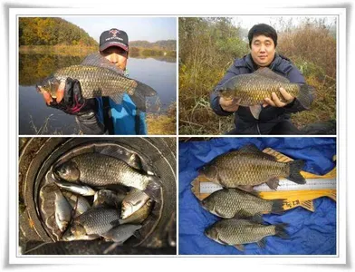 만추의 대물조황 ~~