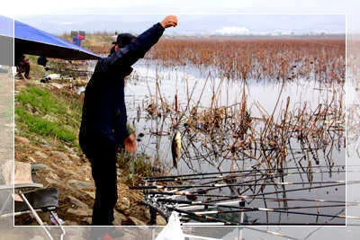 도화향기 그윽한 4월의 조황안내