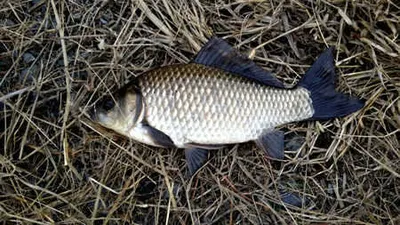 가을정취-를 찾아 떠나는 조항안내 입니다.