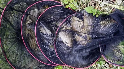 입추에 드리는 조황안내 입니다..