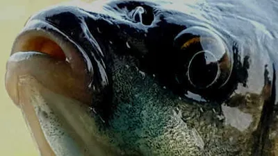 봄 나들이에 딱 좋은 주말 !!