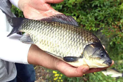 여름의 문턱에서...