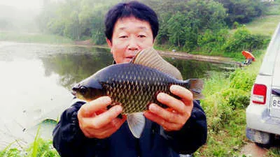 시원함을 찾아 떠날 시기