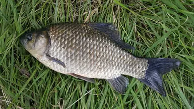 9월 마지막날 드리는 조황안내 입니다.