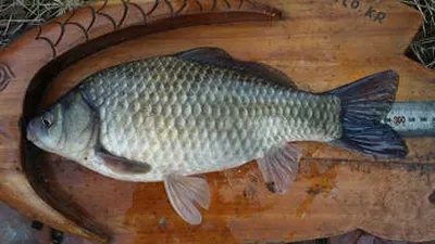 대구,경산권 소식 전합니다.