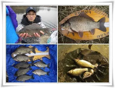 시작을 알리는 한발앞선 조황~~