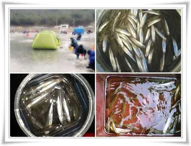 본격적인 군위빙어낚시 ~~