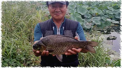 9월 중순의 조황안내 입니다.