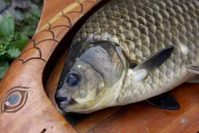 가을시즌을 맞은 경산권 소식 입니다.