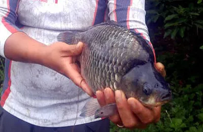 장맛비와 시작하는 여름,대구동부권 소식 입니다.