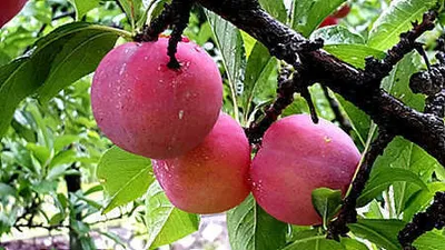 시원한 장맛비 뒤의 저수지 상황