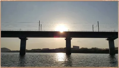 진위천 조황 소식