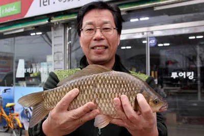 겨울 날씨가 무색한 조황-대구권 소식입니다.