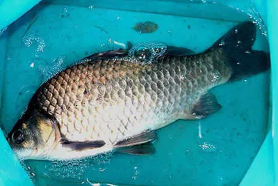 더위의 끝에서 바라본 가을