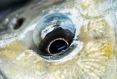 배수영향없는곳 ...