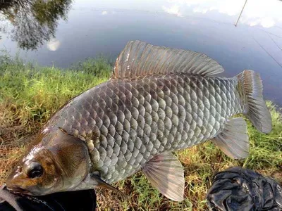 대물들 움직임이 있는.......