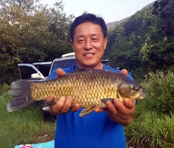 마지막 폭염,그리고 붕어 이야기