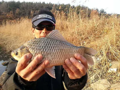 물낚시 시작되었습니다.....