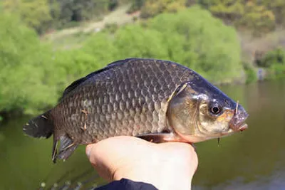 대구.경산권 소식 입니다.