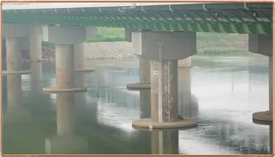 진위천 조황 소식