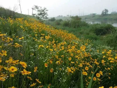 [청미천] 대물낚는 방법(1편)