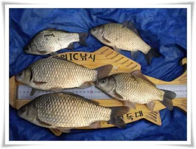 이제 희망을 가집시다 ~~