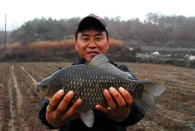 거함을 만난 올빼미님 .........