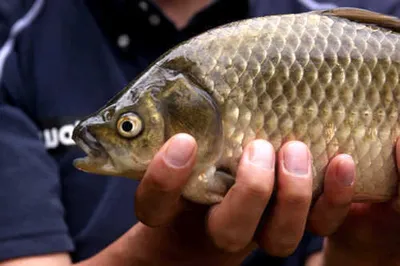 갈수기 낚시의 매력
