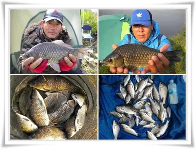 월척과 마릿수조황 ~~