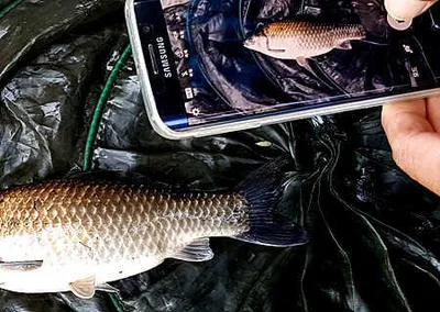 물은 넘치고 분위기는 좋습니다.