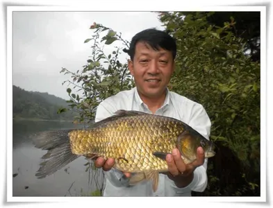 기록경신46.5, 월척행진 ~~