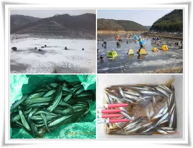 내의지 낚시여건 ~~