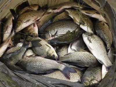 휴가 완전대박 쳤어요.......