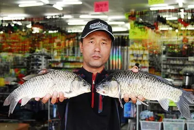 사짜! 기록갱신을.......