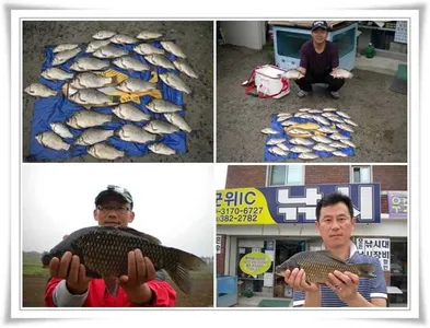 최고의 대박조황과 배수시작 ~~