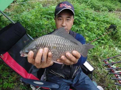 덩어리 손맛........