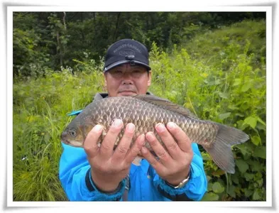 대형급의 출몰 ~~