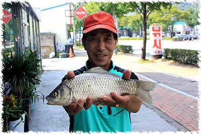 경산권,한가위 조황안내 입니다.