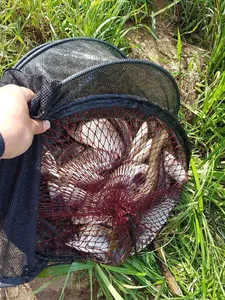 [청미&한천] 낚시 절대 가능합니다