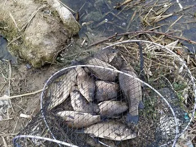 [청미천] 생미끼가 좋습니다