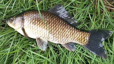 휴가철-여름낚시를 마감하는 8월