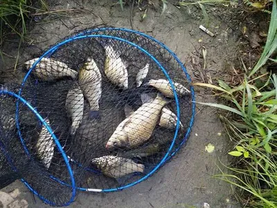 [청미천] 일부지역 낚시금지