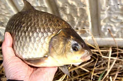 봄시즌 개막-제철의 저수지들.