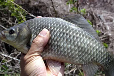 분위기 좋고 느낌이 옵니다.