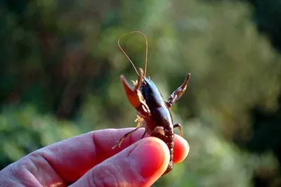여기저기 대물소식이 .....