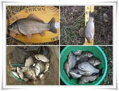 얼음얼때까지 쭉~ 갑니다 ~~