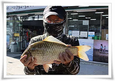 中伏-얼마 남지 않은 더위