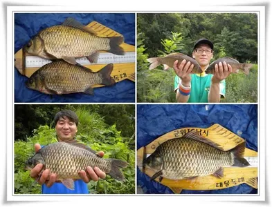 혹부리대물과 월척 ~~