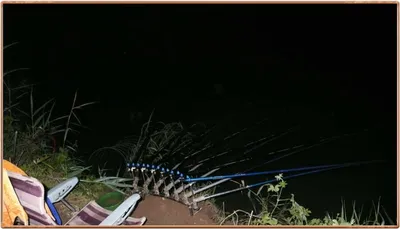 진위천 수위가 안정 되면서.