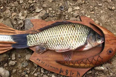 단오에 즈음하여-용성권의 재조명